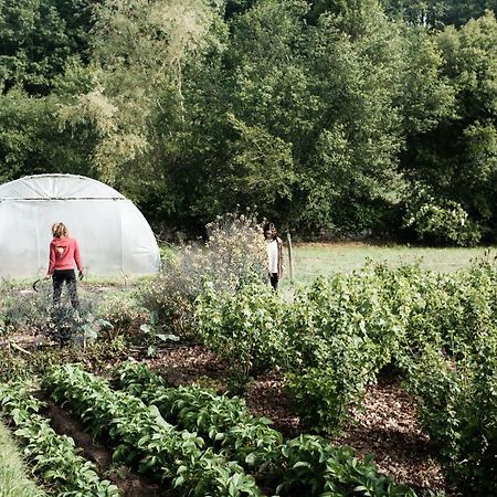 Torre Tanquian Eco Finca - Ribeira Sacra Pantón エクステリア 写真