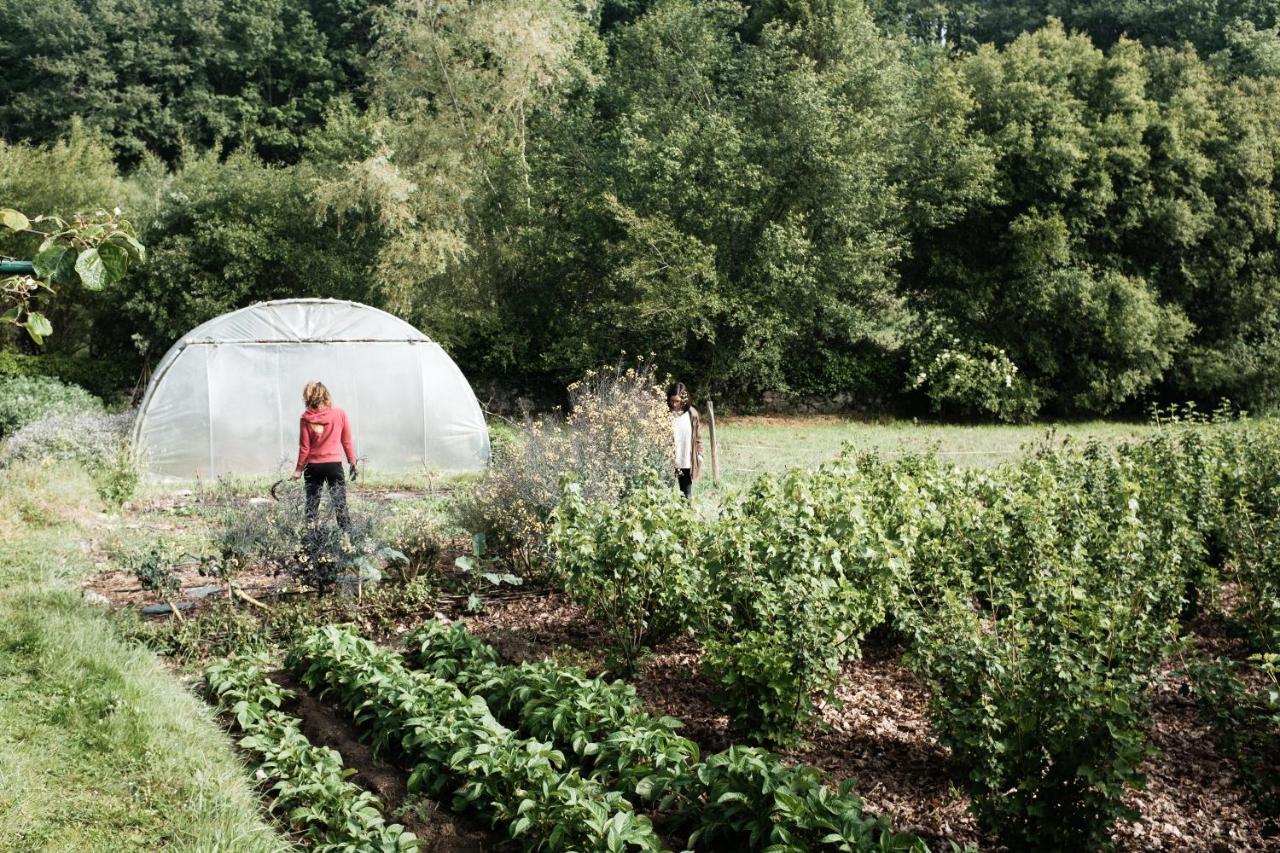 Torre Tanquian Eco Finca - Ribeira Sacra Pantón エクステリア 写真