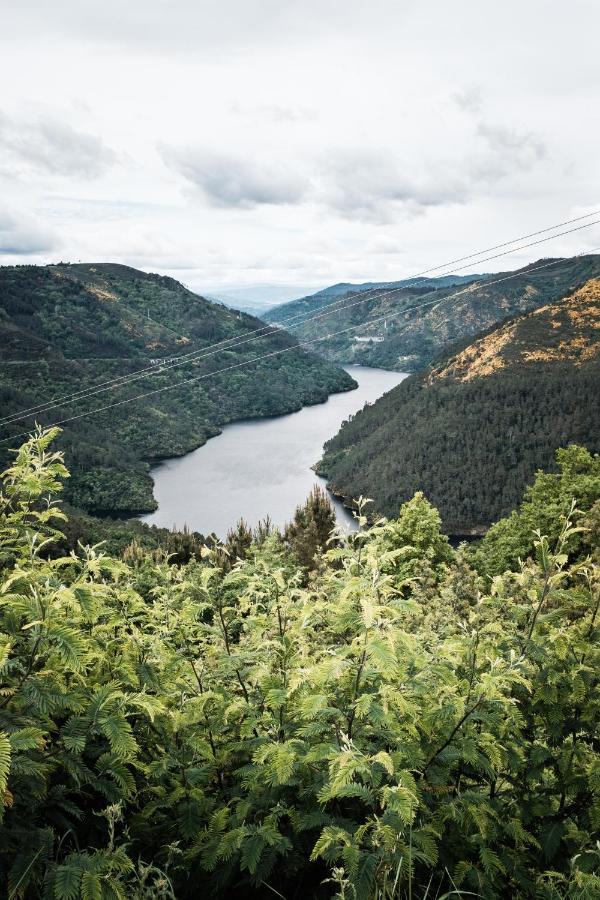Torre Tanquian Eco Finca - Ribeira Sacra Pantón エクステリア 写真