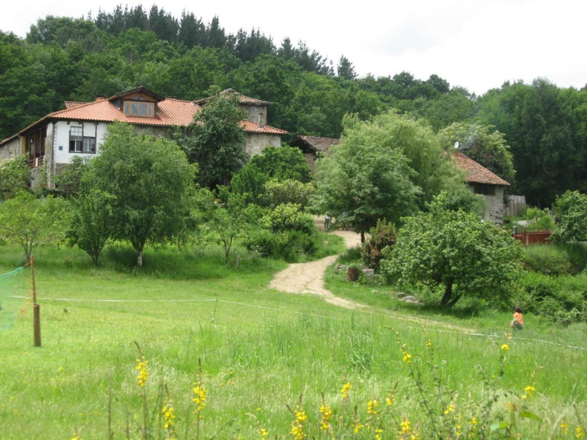Torre Tanquian Eco Finca - Ribeira Sacra Pantón エクステリア 写真