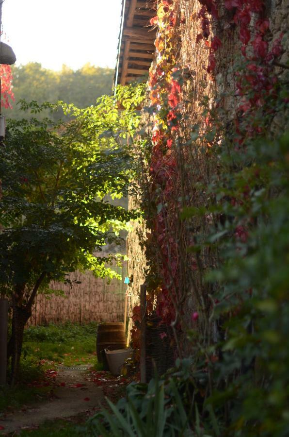 Torre Tanquian Eco Finca - Ribeira Sacra Pantón エクステリア 写真